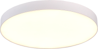 Потолочный светильник ST Luce ST606.532.96 (белый) - 