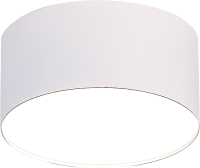 Потолочный светильник ST Luce ST606.542.12 (белый) - 