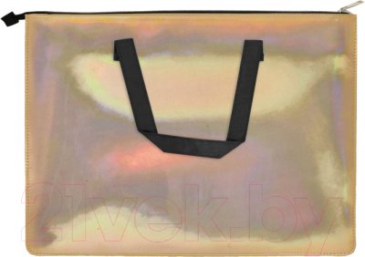 Изображение товара Папка-портфель Феникс+ 48966 (графит металлик)