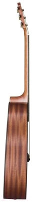 Акустическая гитара Baton Rouge X11C/D