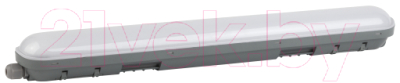 Светильник линейный ЭРА SPP-201-0-65K-E36 / Б0056748