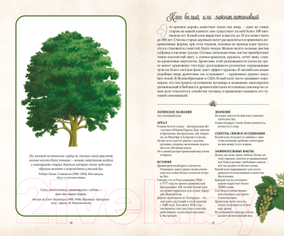 Книга КоЛибри Тайный язык деревьев (Дэвис Дж.)