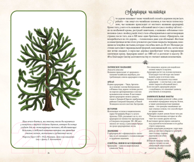 Книга КоЛибри Тайный язык деревьев (Дэвис Дж.)