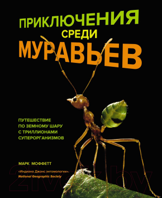Книга КоЛибри Приключения среди муравьев (Моффетт М.)