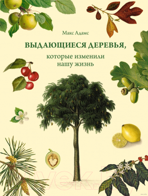 Книга КоЛибри Выдающиеся деревья, которые изменили нашу жизнь (Адамс М.)