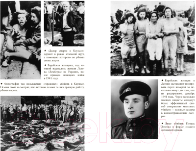 Книга КоЛибри Нацисты. Предостережение истории (Рис Л.)
