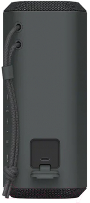 Портативная колонка Sony SRS-XE200 (черный)