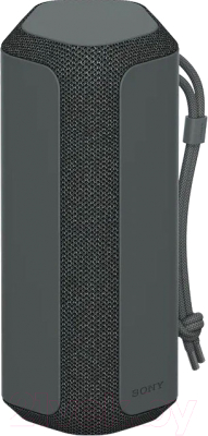 Портативная колонка Sony SRS-XE300 (черный)