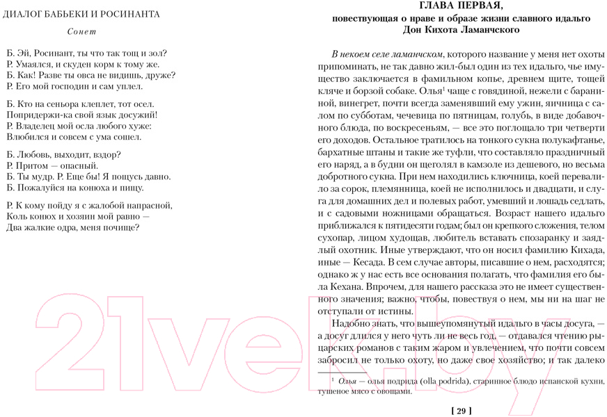 Художественная книга Иностранка Хитроумный идальго Дон Кихот Ламанчский (Сервантес М.) — фото 2