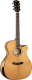 Электроакустическая гитара Cort Gold-Edge-NAT (с футляром) - 