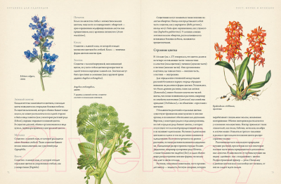 Книга КоЛибри Ботаника для садоводов (Ходж Дж.)