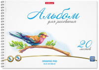 

Альбом для рисования Erich Krause, Birds / 58575