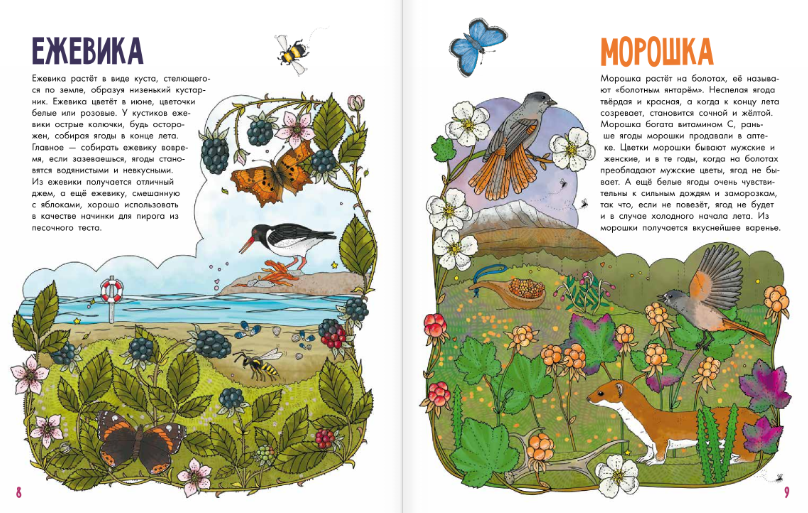 Развивающая книга АСТ Грибы и ягоды. Моя первая книга, твердая обложка (Янссон Эмма) — фото 2