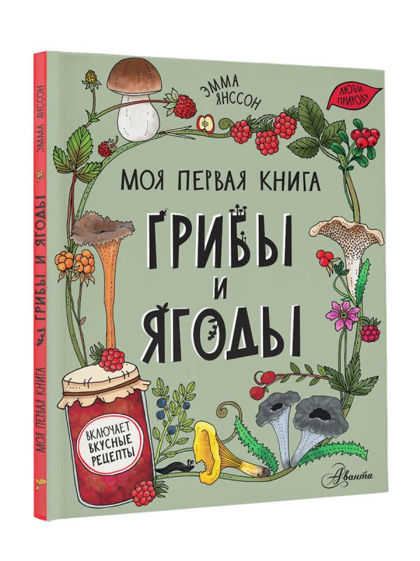 Развивающая книга АСТ Грибы и ягоды. Моя первая книга, твердая обложка (Янссон Эмма) — фото 6