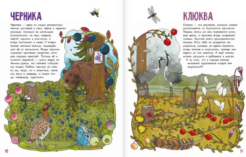 Развивающая книга АСТ Грибы и ягоды. Моя первая книга, твердая обложка (Янссон Эмма) — фото 3