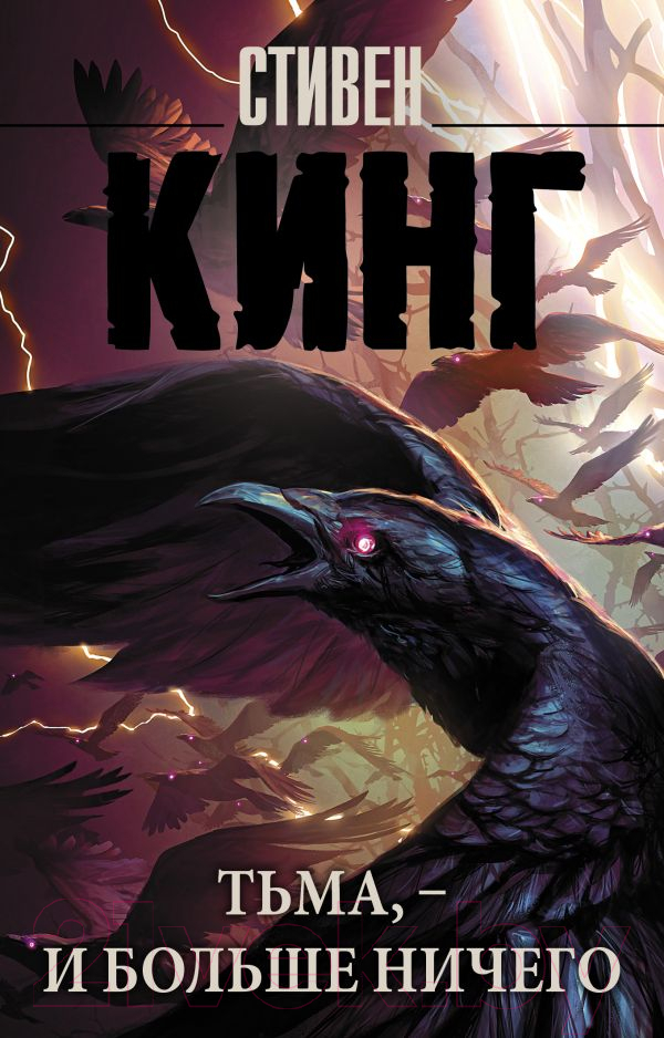 Художественная книга АСТ Тьма | и больше ничего / 9785171537203 (Кинг С.) — фото 1