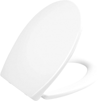 

Сиденье для унитаза BelBagno, BB2004SC-WTP