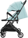 Миниатюра изображения товара Детская прогулочная коляска INDIGO Onyx (мятный)