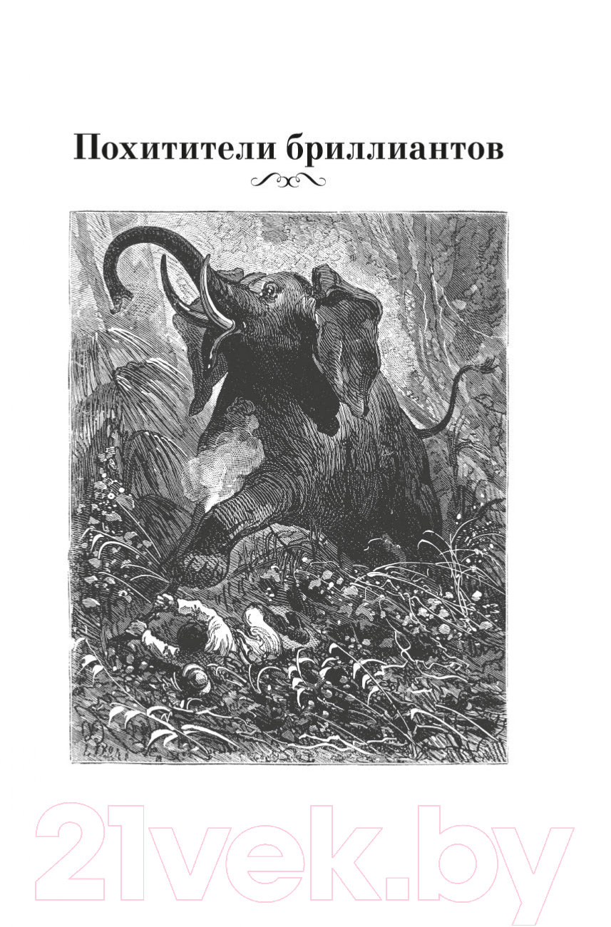 Художественная книга Азбука Похитители бриллиантов (Буссенар Л.) — фото 5