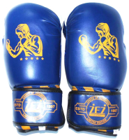 Боксерские перчатки ZEZ Sport Fighter-10-OZ - 