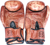 Боксерские перчатки ZEZ Sport Vintage-14-OZ - 