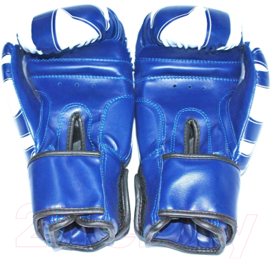 Боксерские перчатки ZEZ Sport Z-THAI-10-OZ