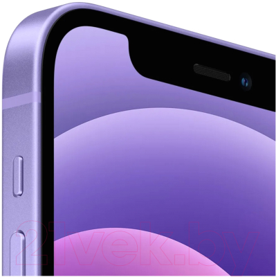 Смартфон Apple iPhone 12 64GB A2403/2BMJNM3 восстановленный Breezy Грейд B (фиолетовый)
