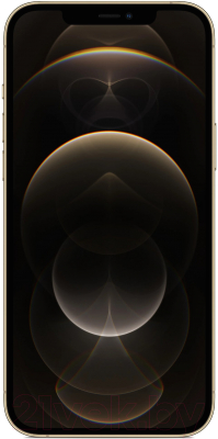 Смартфон Apple iPhone 12 Pro 256GB / 2AMGMR3 восстановленный Breezy Грейд A (золото)