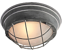 Потолочный светильник Lussole Loft LSP-9881 - 