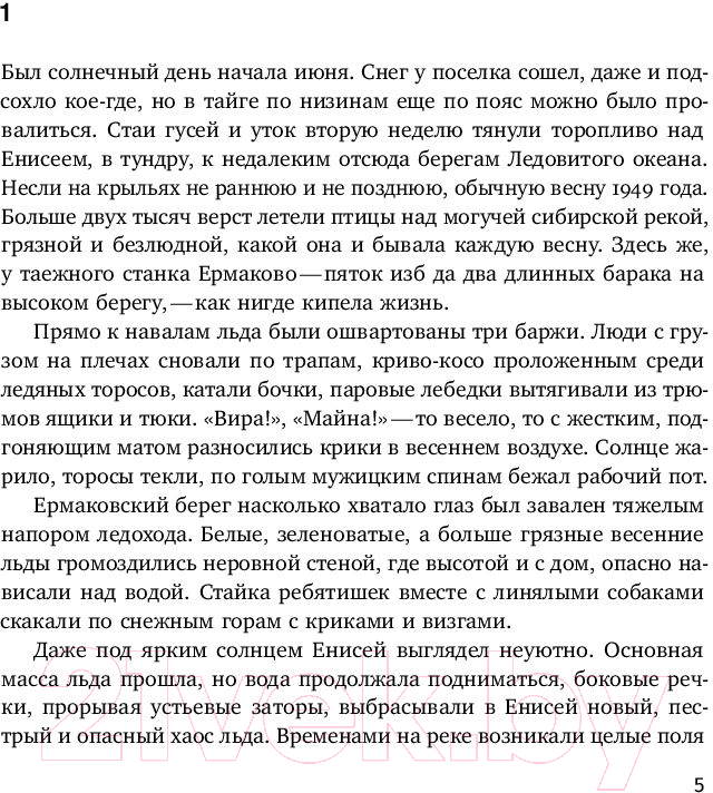 Художественная книга Альпина Вечная мерзлота (Ремизов В.) — фото 3