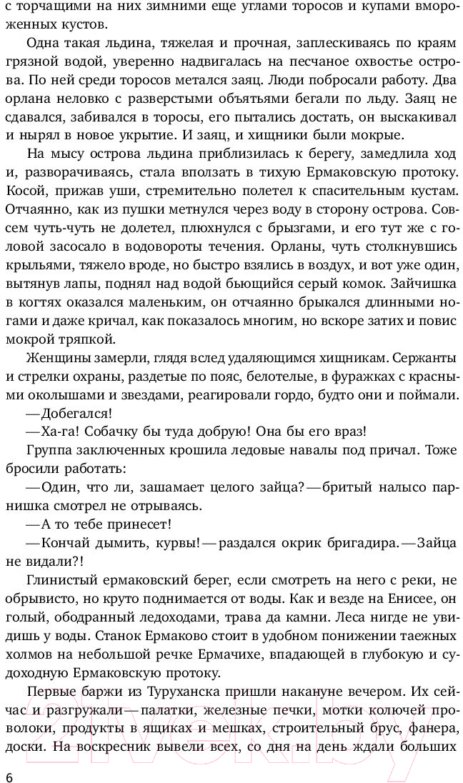 Художественная книга Альпина Вечная мерзлота (Ремизов В.) — фото 4
