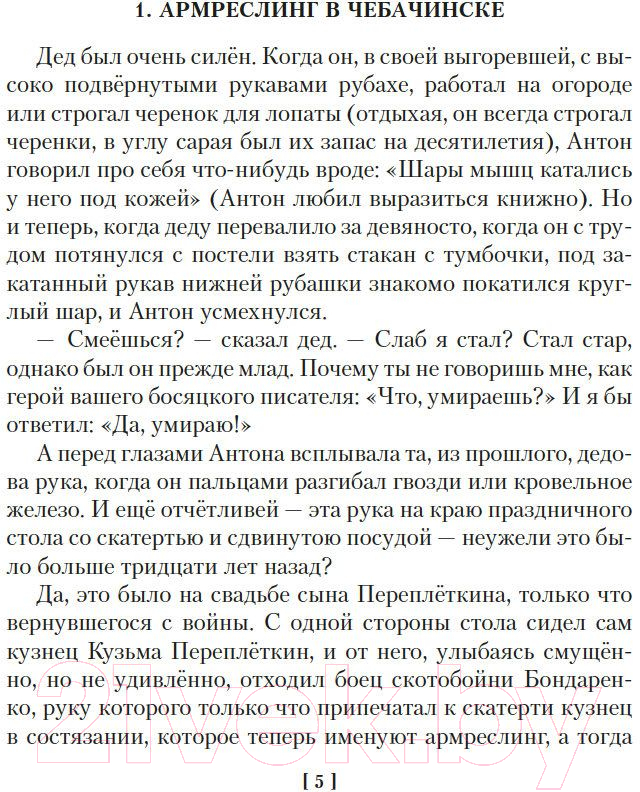 Художественная книга Азбука Ложится мгла на старые ступени (Чудаков А.) — фото 3