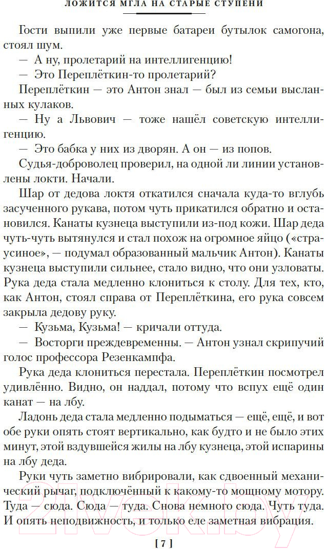 Художественная книга Азбука Ложится мгла на старые ступени (Чудаков А.) — фото 5