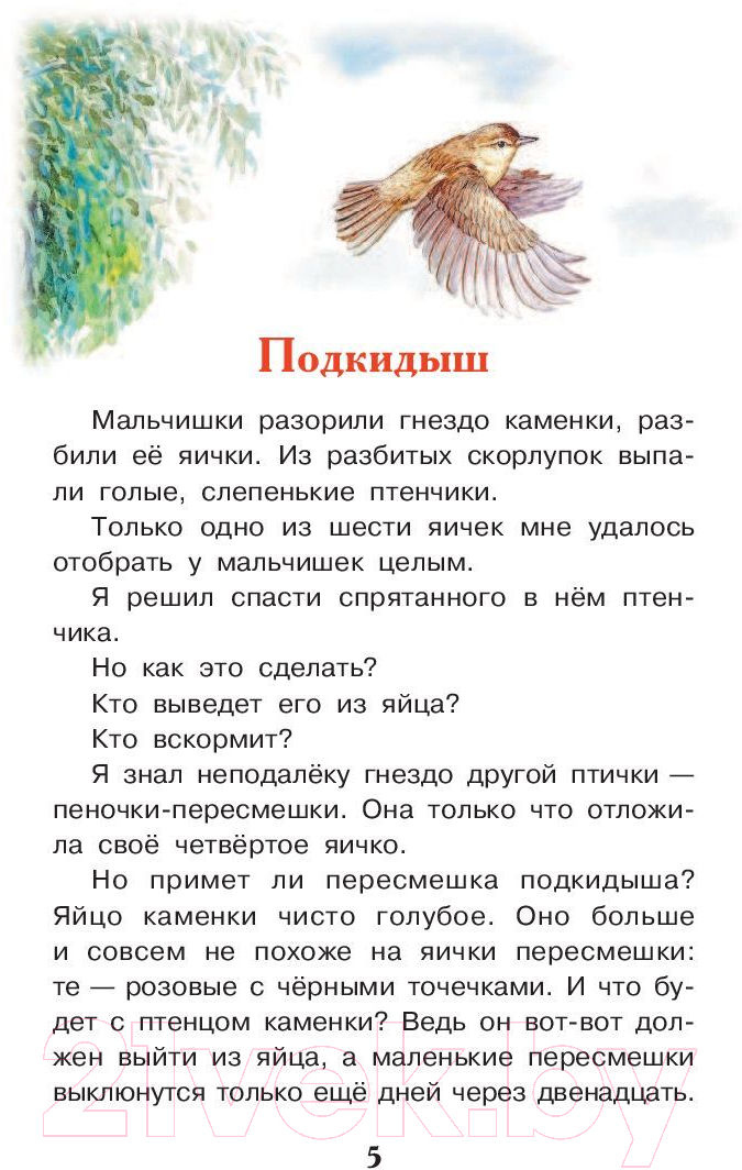 Художественная книга АСТ Рассказы о животных (Бианки В.В.) — фото 5