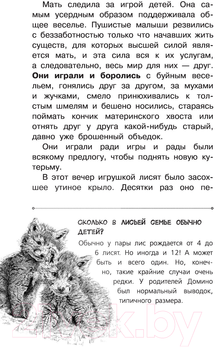 Художественная книга АСТ Рассказы о природе. Самые лучшие рассказы о живой природе (Сетон-Томпсон Э.) — фото 4