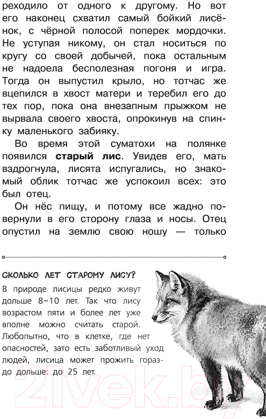 Художественная книга АСТ Рассказы о природе. Самые лучшие рассказы о живой природе (Сетон-Томпсон Э.) — фото 5