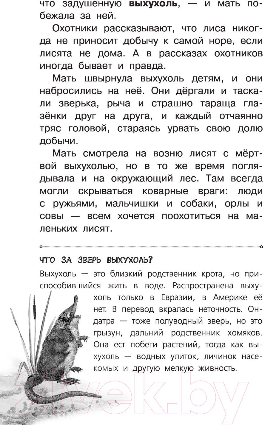Художественная книга АСТ Рассказы о природе. Самые лучшие рассказы о живой природе (Сетон-Томпсон Э.) — фото 6