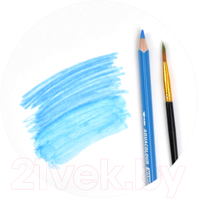Изображение товара Набор акварельных карандашей Феникс+ Морской конек / 58587 (12шт)