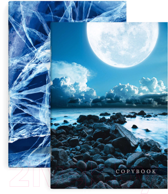 Изображение товара Тетрадь Феникс+ Стихия / 61178