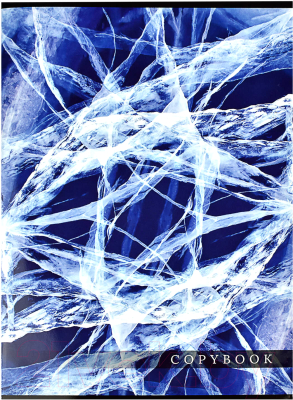 Изображение товара Тетрадь Феникс+ Стихия / 61178