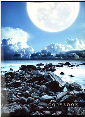 Изображение товара Тетрадь Феникс+ Стихия / 61178