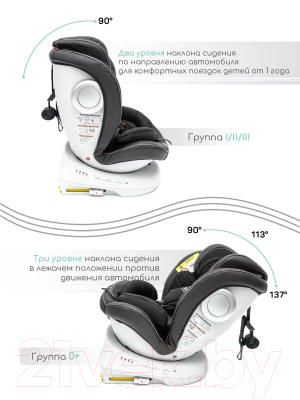 Автокресло Amarobaby Champion Isofix / AMARO-2008CH-Ch (черный)