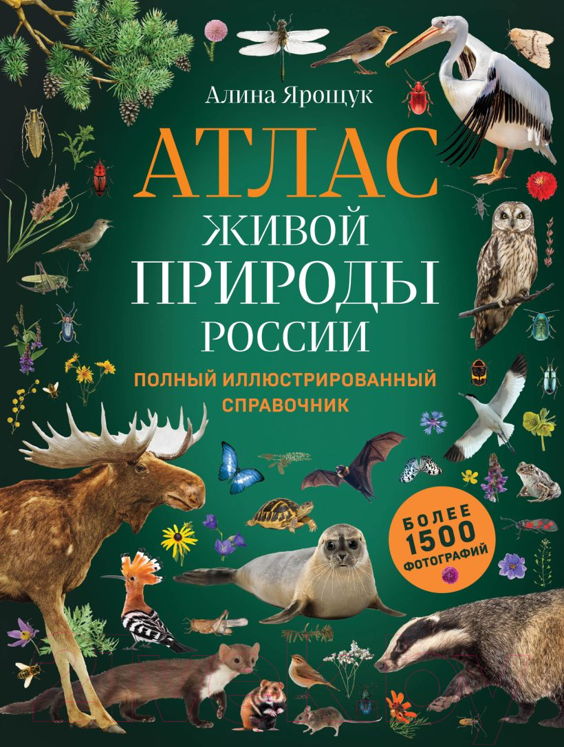 Книга Эксмо Атлас живой природы России. Полный иллюстрированный справочник