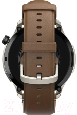 Умные часы Amazfit GTR 4 / A2166 (коричневый)