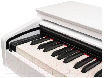 Цифровое фортепиано Medeli DP280K-GW (белый глянцевый)