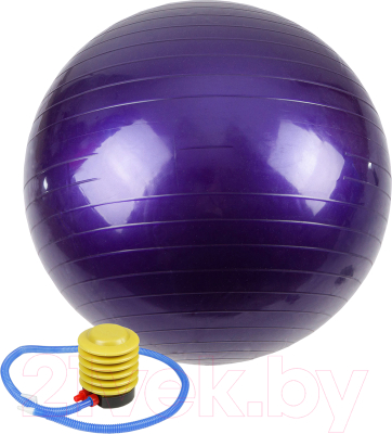 Фитбол гладкий Calviano С насосом (65см, фиолетовый)