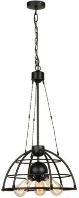 

Люстра Lussole, Loft Buffalo LSP-9994