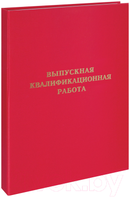 Папка адресная ArtSpace Выпускная квалификационная работа / 257944 (красный)