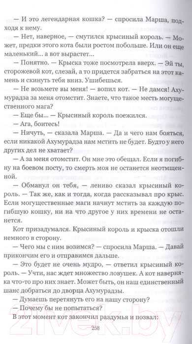 Художественная книга Вече Черная стена (Кудрявцев Л.) — фото 4