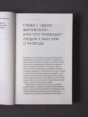 Книга Никея Анатомия сем конфликта. Победить или понять друг друга (Дмитриевский П.)